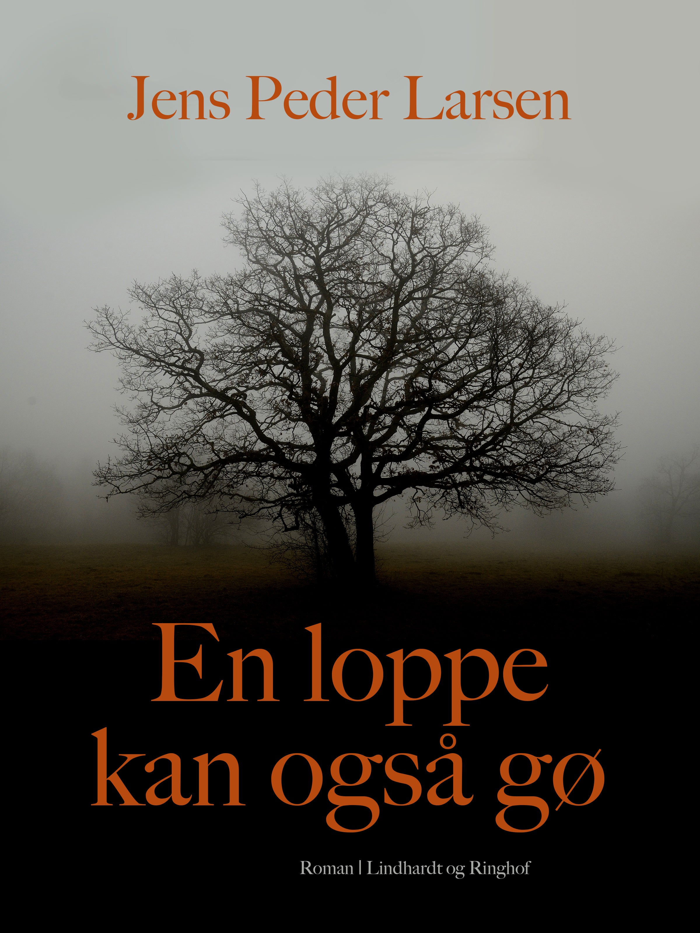 Forside billede